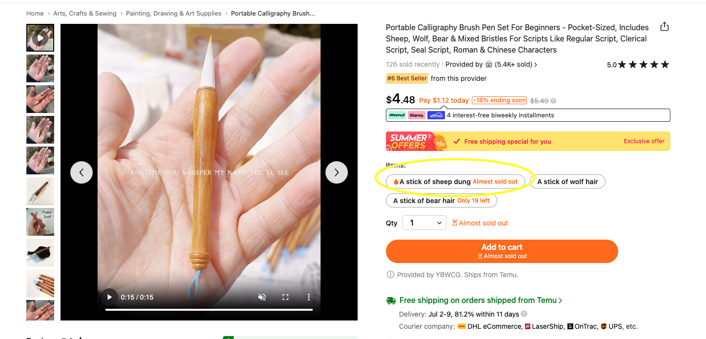 Screenshot of paint brush for sale with the description "A stick of sheep dung"